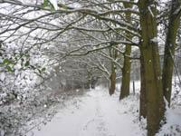 Tandridge in the snow